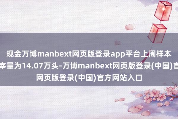 现金万博manbext网页版登录app平台上周样本屠企日均屠宰量为14.07万头-万博manbext网页版登录(中国)官方网站入口